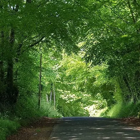 Le Petit Valet Saint-Clément